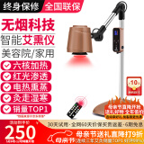 鸿益德 艾灸家用仪器一体机语音无烟熏蒸仪美容院养生理疗艾炙灯烤电仪 深咖升级款-六核加热+红光渗透XJAY18
