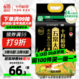 十月稻田 当季新米 绿色食品 五常大米 10斤 京东超市 联名款 东北大米