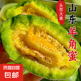 山东头茬酥脆羊角蜜脆瓜甜瓜 单果250g+  京东快递 更快更好 带箱2斤 净重1.7斤起