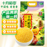 十月稻田 黄小米 溯源  2.5kg（小黄米 五谷杂粮 粥米 国标一级）5斤