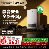 史密斯（A.O.SMITH）16升精钢燃气热水器 【史密斯银河】国家补贴 1级静音认证 安全守护 JSQ31-EDQ6 新品
