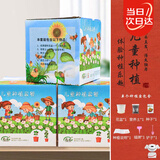 寿禾 儿童种植小盆栽种子番茄植物盆栽蔬菜种籽 儿童种植小盆栽3盒装