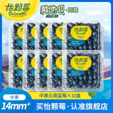 怡颗莓【颗颗饱满】当季云南蓝莓 国产蓝莓 送礼 新鲜水果 年货节送礼 云南当季125g*10盒（14-18mm）