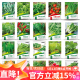 花沃里 20款蔬菜种子 萝卜种子白菜朝天椒菠菜番茄香菜四季油麦生菜种籽