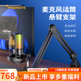 闪克 麦克风电脑无线收音麦游戏直播唱歌k歌录音降噪AI变音手机话筒台式桌面麦克风Horcus同款闪客dm40 悬臂支架(按需购买)