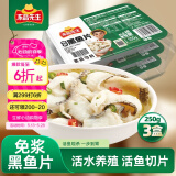 冻品先生 安井 免浆黑鱼片 250g*3盒  水煮鱼生鲜食材 冷冻鱼类方便菜