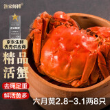 【活蟹】漁家师傅大闸蟹2.8-3.1两8只去绳足重鲜活螃蟹六月黄现货生鲜水产礼盒源头直发