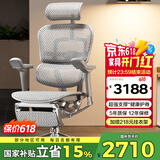 Ergonor保友金豪e 2代高端人体工学椅 电脑椅子 办公椅家用电竞椅老板椅 银白美国网+躺舒宝 整椅发货 送货上门