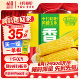 十月稻田 黄糯玉米4.4斤(220g*10根)  东北糯玉米 父亲节礼盒 早餐杂粮