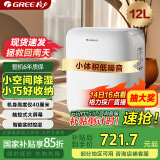 格力（GREE）【低噪小体积】除湿机/抽湿机家用除湿量12升/天单间参考面积24平24H定时除湿器DH12EN
