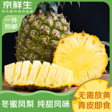 京鲜生 海南冬蜜凤梨 净重2.8斤单果650g 新鲜水果青皮菠萝生鲜源头直发