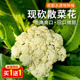 密农人家农家自种散菜花 新鲜菜花 脆嫩花菜 每日现采花椰菜 时令蔬菜500g