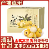 橙市码头正宗苏州东山白玉枇杷【JD多地次日达】琵琶水果端午节礼品盒送礼 【约96枚中果礼盒丨单果15-25g】净重4斤