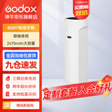神牛（Godox） LC500Mini补光灯棒灯补光棒手持摄影灯户外便携直播拍照 人像美颜灯双色温版 可拆卸电池BG01手柄【白色】 标配