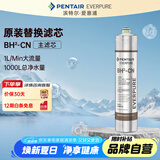 爱惠浦（Everpure）BH(2) 净水器主滤芯