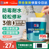 立邦随心涂净味防霉耐水补墙膏 墙面修补膏补墙漆修复膏腻子粉白色1kg