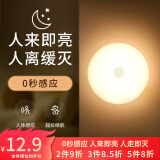 大头人（datouren）感应灯小夜灯楼道人体感应灯卫生间专用声控灯起夜灯磁吸感应夜灯