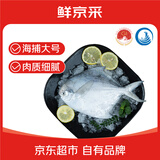 鲜京采 冷冻舟山地标鲜捕大号银鲳鱼净重3斤 5-6条/斤 海鲜 源头直发