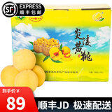 趣觅鲜炎陵黄桃礼盒装正宗湖南株洲特产高山锦绣黄桃子新鲜水果 5斤带箱单果4两-6两