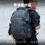 direct action 强袭者DA龙蛋2背包25L日常通勤双肩包30L户外扩展登山背包男 暗影灰(Shadow Grey)