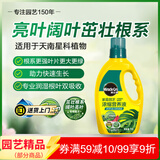 美乐棵天南星科营养液园艺花肥肥料盆栽浓缩植物营养液1L