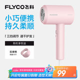 飞科（FLYCO）负离子电吹风机家用大功率冷热风恒温护发吹风筒FH6291