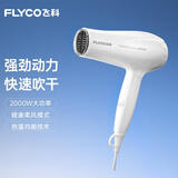 飞科（FLYCO）电吹风机家用大功率负离子吹风筒护发不伤发大风力速干轻 【2000W大功率 可折叠】FH6232