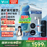 云米（VIOMI）净水器家用净水机小昆仑1000G净矿6年RO反渗透矿物质双出水直饮机厨下式净饮机国家补贴
