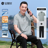 宝财羊爸爸夏季套装短袖t恤男冰丝运动polo衫中老年人上衣服父亲节礼物