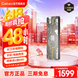 GETEA移动硬盘固态长江存储颗粒NVMe高速大容量笔记本外置游戏存储盘Type-C接口手机电脑两用SSD固态 【加密版4TB】灰色（长江存储晶圆）