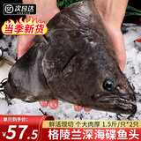 尚致鲽鱼身碟鱼格陵兰比目鱼深海鱼中段鸦片鱼整条鲽鱼头海鲜礼盒 【2个】特大鲽鱼头 750g /个