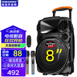TEMEISHENG 特美声TC-105户外K歌音响重低音12吋大功率便携拉杆ktv音响专业ktv音响套装ktv音响家用广场操场 8吋重低音+双话筒+遥控器