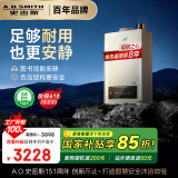 史密斯（A.O.SMITH）13升精钢燃气热水器  国家补贴 1级静音 恒温大水量 抗风防冻JSQ26-TEW 更安全更安静  以旧换新