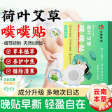 dyey云南本草荷叶艾草噗噗贴祛湿排毒除湿美容养颜养护暖身草本中药贴