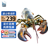 鲟食 波士顿龙虾冰鲜冷冻大波龙澳龙大龙虾生鲜虾类夜宵送礼 波士顿龙虾【生冻】 2600-2800g/只