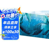 点读版 北极熊报告 平装软皮封面3-6岁海豚绘本花园双语绘本幼儿园英语启蒙儿童绘本 支持老版小猴皮皮小鸡球球豚小蒙点读笔需另外购