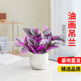 京云梦油画婚礼吊兰垂吊植物花卉植物室内花盆栽多肉紫露兰条纹源头直发