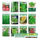 寿禾12种蔬菜种子苗西红柿黄瓜鸡毛菜菠菜香菜生菜 12种蔬菜种子套餐