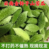 新鲜小苦瓜现摘可生吃播当季山苦瓜农家野生泰式苦瓜特色蔬菜鲜果 1斤