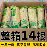抱抱你 【大棒300g】头茬黄白玉米粘黏甜糯黑玉米棒营养代餐苞米玉米 【单根300g以上】白糯玉米14支装