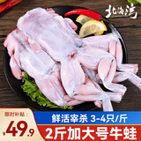 北海湾牛蛙 蛙肉 鲜活现杀免处理去皮生鲜半成品烧烤食材干锅香辣大牛蛙 大号牛蛙 净重2斤【6-7只】