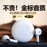 娱品 iQOO无线蓝牙耳机适用Neo5SE/Z5/Z5X/Neo6SE/u5x/iqoo9/pro 皎月白/超长续航/HiFi环绕音质