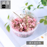 派喜滴胶干花满天星 水晶滴胶干花滴胶ab胶模具带枝花朵 多规格 粉色