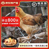 缘琳山煲汤老母鸡  炖鸡汤 新鲜土鸡 月子鸡 土母鸡 大别山农家散养 【煲汤】F7土鸡2.4斤左右x1只
