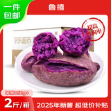 鲁禧广西新鲜紫薯 当季精品紫薯地瓜 软糯香甜健康轻食生鲜蔬菜 中果净重1.7斤（单果150-400g）
