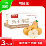京鲜生山东聊城新玉梨 净重3斤 单果300g+  鲜水果 源头直发