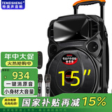 TEMEISHENG 特美声TC-102户外广场舞K歌音响大功率便携式拉杆蓝牙带话筒户外蓝牙音箱带无线麦克风教学摆摊 TC-105 15吋重炮美声话筒+遥控器