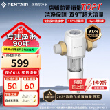 滨特尔（pentair）前置过滤器大通量家用全屋自来水管道40μm过滤器9吨/H大流量水驱涡轮+反冲洗刮洗净水器 【升级9T/H】S160前置过滤器