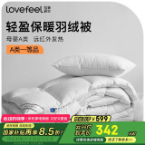 拉芙菲尔五星级酒店母婴A类抗菌51%白鸭绒国产羽绒被 冬被4.5斤200*230CM