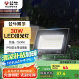 公牛（BULL）LED投光灯户外庭院工厂园林灯露营灯 IP65防水等级30W-6500K白光